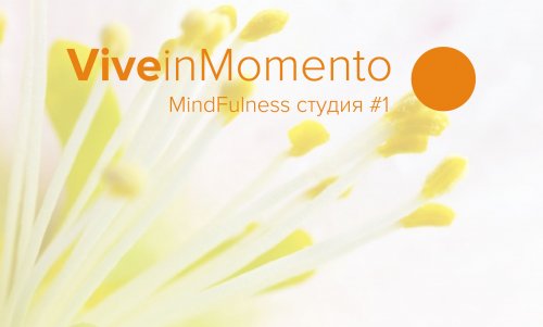   4-  Mindfulness Day